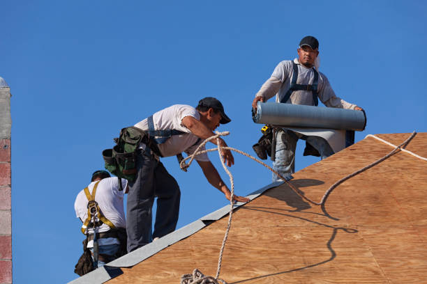 Best Metal Roofing Contractor  in Harrisonville, MO