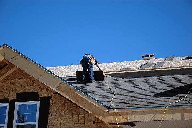 Best Roof Repair Services  in Harrisonville, MO