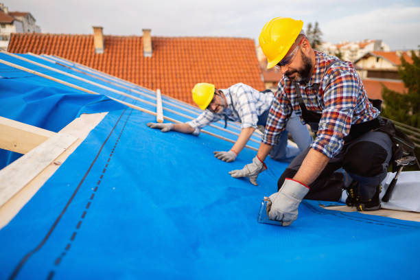 Best Roof Maintenance Services  in Harrisonville, MO