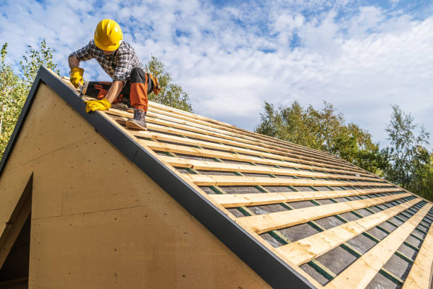 Best Roof Gutter Cleaning  in Harrisonville, MO