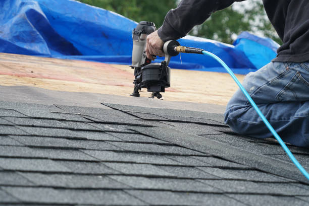 Best Roofing Contractor Near Me  in Harrisonville, MO