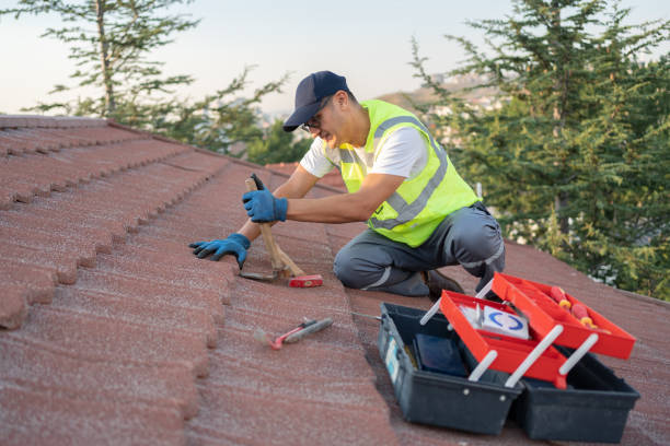 Gutter Installation and Roofing in Harrisonville, MO