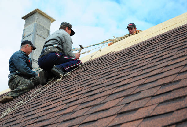 Quick and Trustworthy Emergency Roof Repair Services in Harrisonville, MO