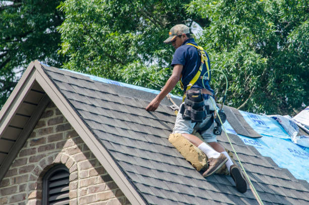 Best Flat Roof Repair Services  in Harrisonville, MO