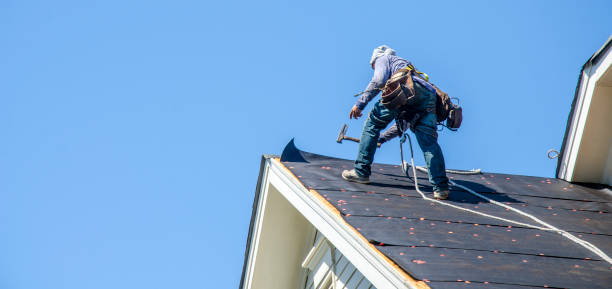 Best Flat Roof Repair Services  in Harrisonville, MO